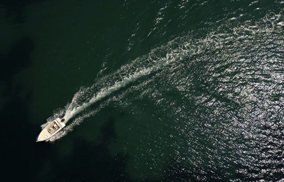 Boat without licence  Sea Ghost Open 5,50 40hp