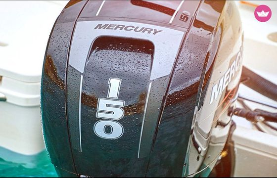 Motorboat Quicksilver Activ 605 Open 150hp