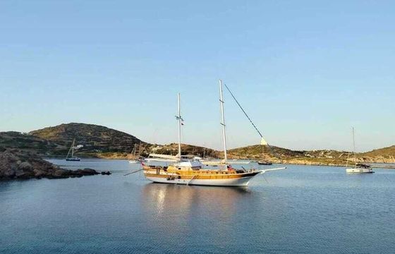 Gulet Luxury 8 Cabins Gulet Sailing Opportunity 25m
