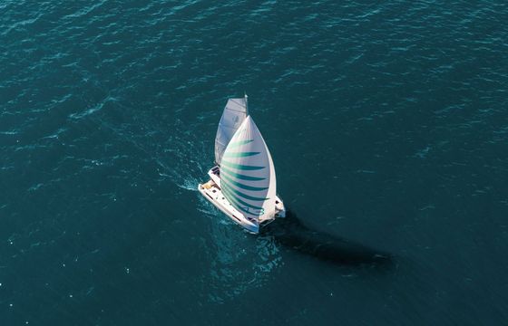 Catamaran Lagoon Lagoon 43 (3 cabins) 13m