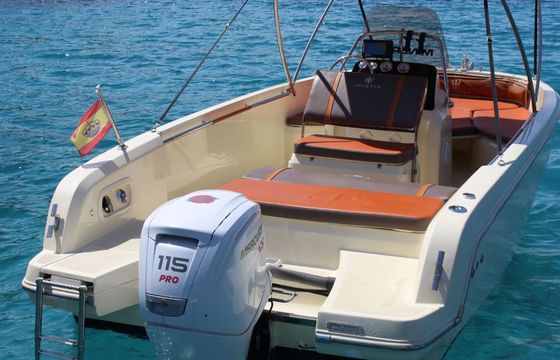 Motorboat Invictus FX 190 115hp