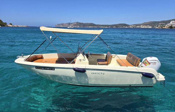 Motorboat Invictus FX 190 115hp
