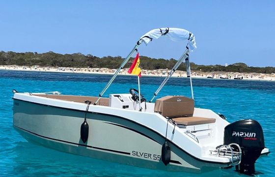 Motorboat SILVER YACHT 555 60hp