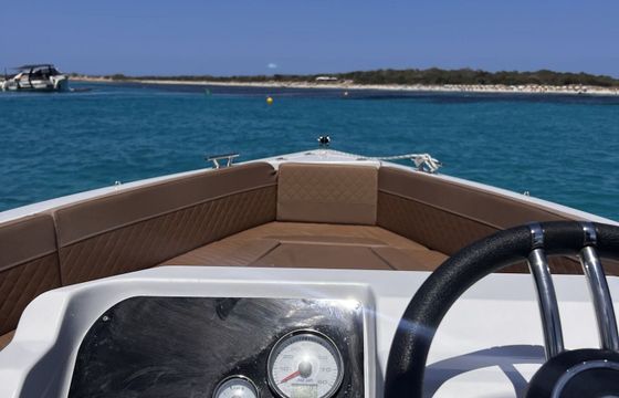 Motorboat SILVER YACHT 555 60hp