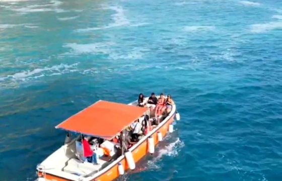 Motorboat Norsafe Life boat Jun-100 60hp