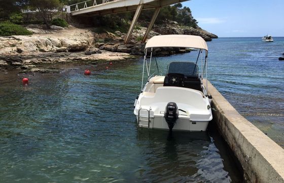 Boat without licence  Remus 450 Open 15hp