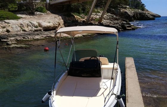 Boat without licence  Remus 450 Open 15hp
