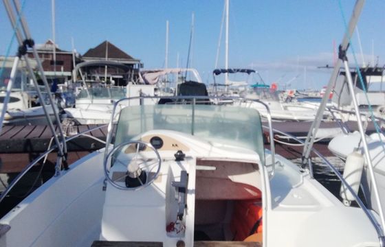 Motorboat B2 Marine Cap ferret 550 60hp