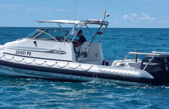RIB Protector rayglass 28 cabib