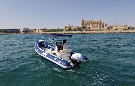 Boat without licence  Tiger Marine Sportline 520 40hp