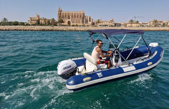 Boat without licence  Tiger Marine Sportline 520 40hp