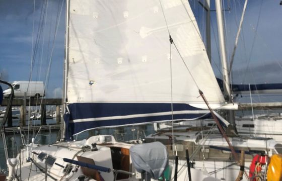 Sailboat Elan 31 9.4m