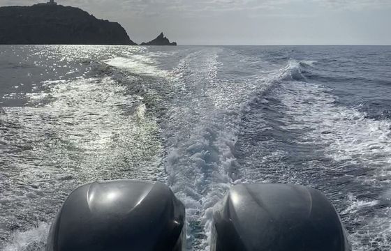 RIB Capelli Capelli Tempest 900 500hp