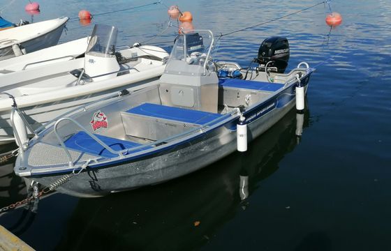 Motorboat Linder Linder 445 Sportsman