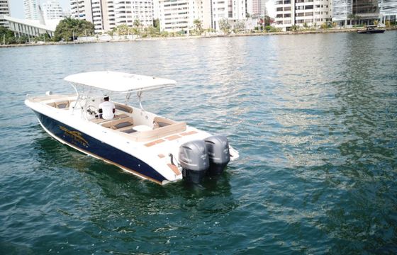 Motorboat de lujo capacidad 20 personas 2024 600hp