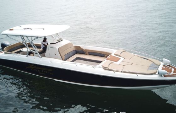 Motorboat de lujo capacidad 20 personas 2024 600hp