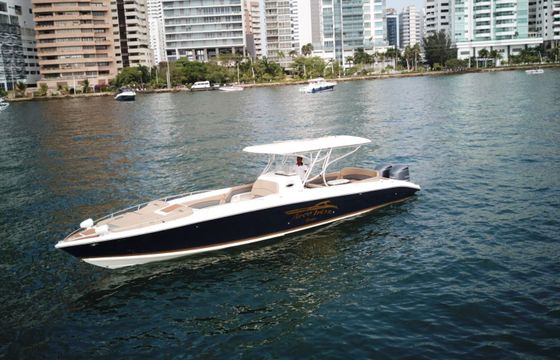 Motorboat de lujo capacidad 20 personas 2024 600hp