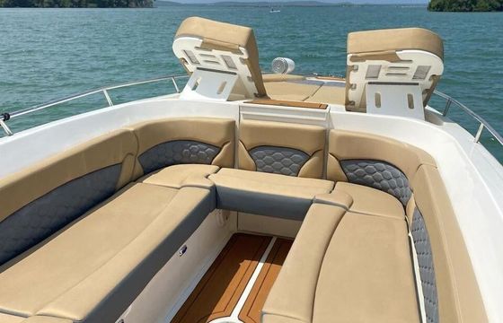 Motorboat de lujo capacidad 20 personas 2024 600hp