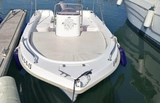 Boat without licence  DIPOL 450 15hp