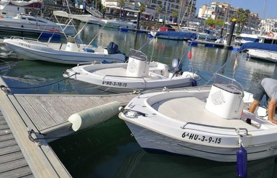 Boat without licence  DIPOL 450 15hp