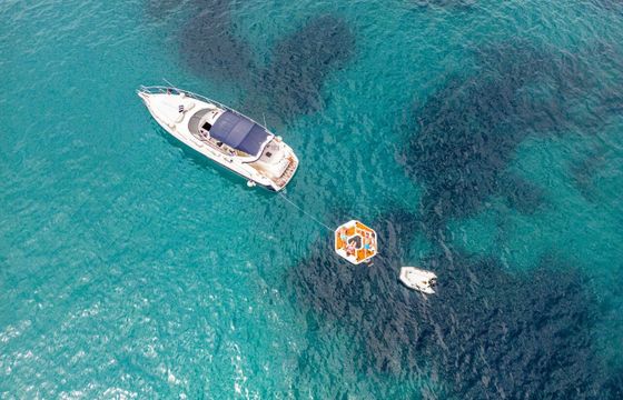Motorboat Cantiere Nautico CranchI Endurance Cranchi 39 600hp