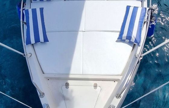 Motorboat Cantieri marinesi Gozzo 40hp