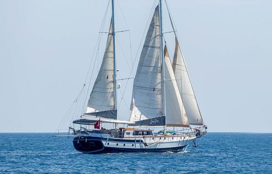 Gulet M/S Derya Deniz Deluxe Gulet 24m