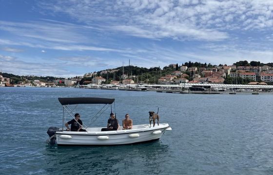Boat without licence traditional boat pasara 6hp