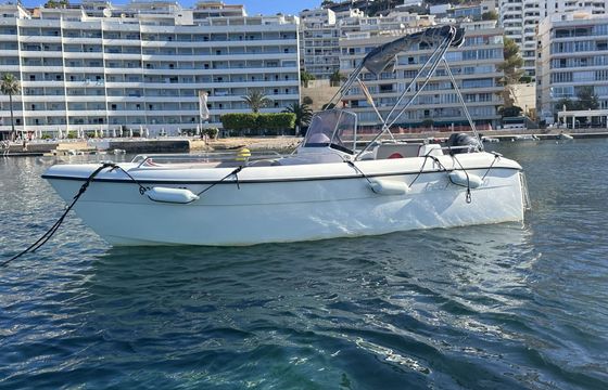 Boat without licence  Pegazus 460 15hp
