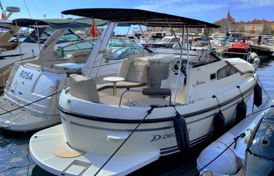 Motorboat Delphia Nano
