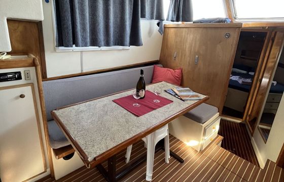 Houseboat New Con Fly TWINS 40hp