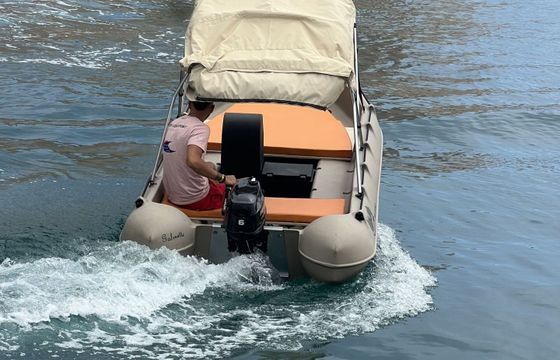 Boat without licence  whaly 435