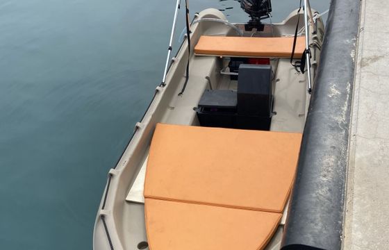 Boat without licence whaly 435