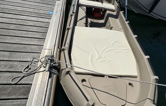 Boat without licence whaly 435