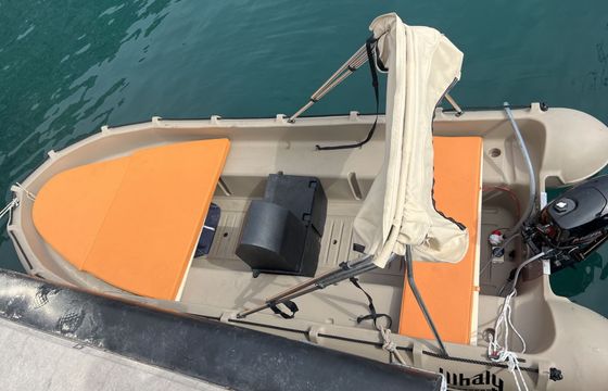 Boat without licence whaly 435