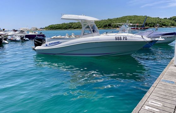 Motorboat QUICKSILVER 720 COMMANDER 225hp