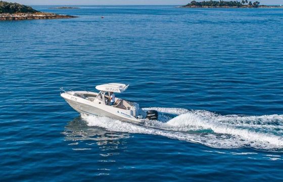 Motorboat QUICKSILVER 720 COMMANDER 225hp