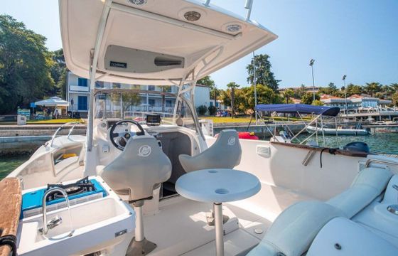 Motorboat QUICKSILVER 720 COMMANDER 225hp