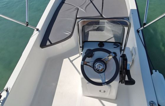 Boat without licence  Poseidon 2021 30hp