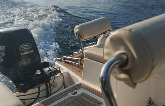 Boat without licence  Resin glass lissone Shark 40hp