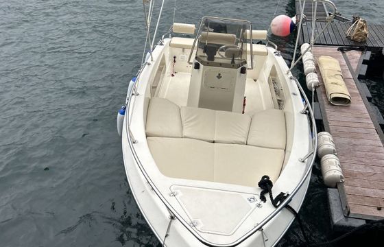 Boat without licence  Resin glass lissone Shark 40hp