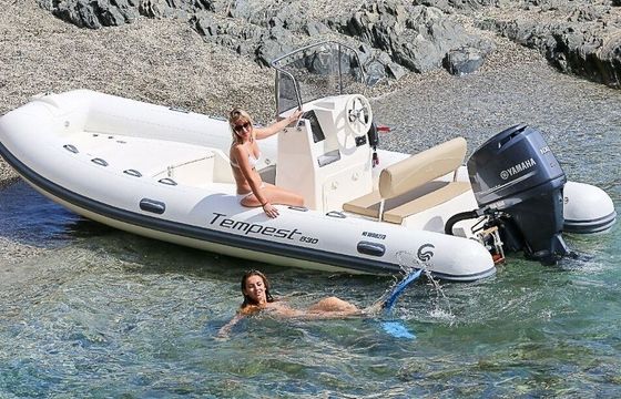 Motorboat Capelli Capelli Tempest 530 80hp