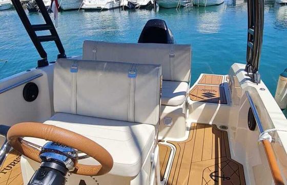 Motorboat Invictus 190 115hp