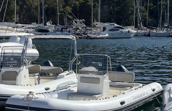 Boat without licence Cappelli tempest 530 40hp