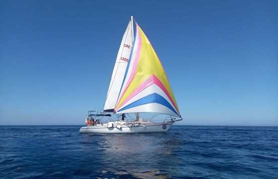 Sailboat Dromor Apollo 12 Plus 11.82m
