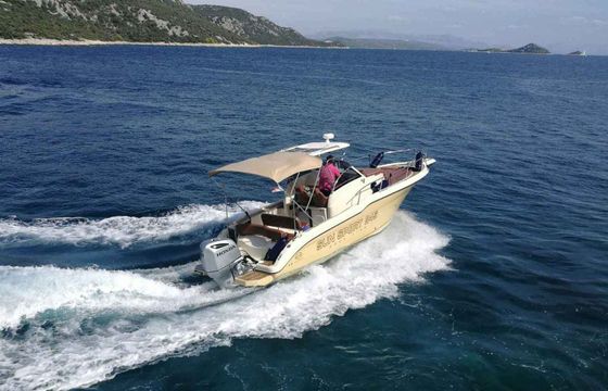 Motorboat Inmark Marine Sunsport 845 250hp