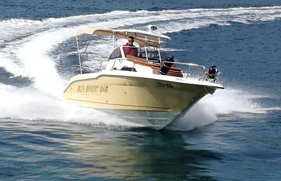 Motorboat Inmark Marine Sunsport 845 250hp