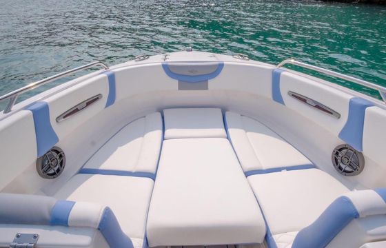 Motorboat Chaparral 247 SSX