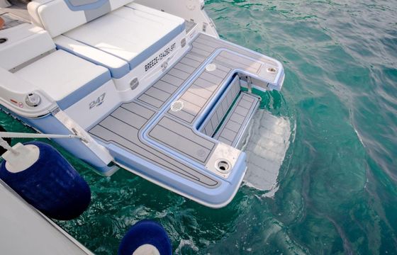 Motorboat Chaparral 247 SSX