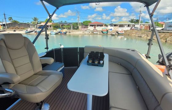 Boat without licence  SMART LINER PONTON 18 6hp